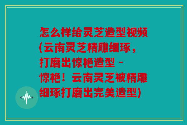 怎么样给灵芝造型视频(云南灵芝精雕细琢，打磨出惊艳造型 - 惊艳！云南灵芝被精雕细琢打磨出完美造型)