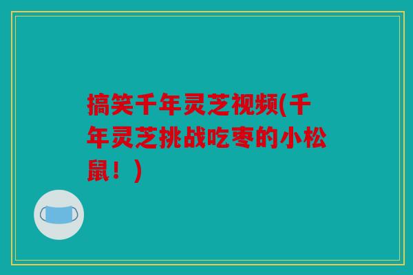 搞笑千年灵芝视频(千年灵芝挑战吃枣的小松鼠！)