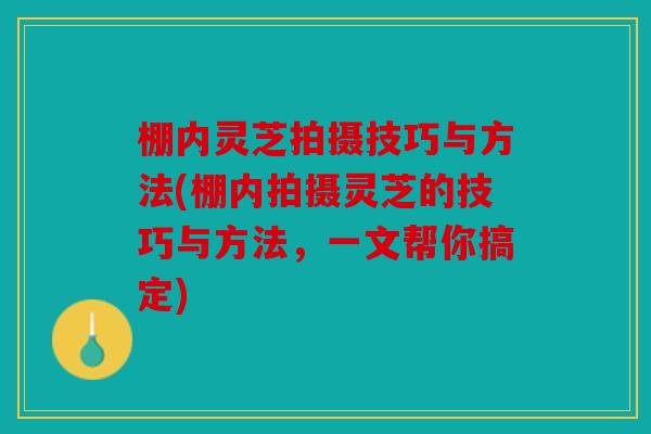 棚内灵芝拍摄技巧与方法(棚内拍摄灵芝的技巧与方法，一文帮你搞定)