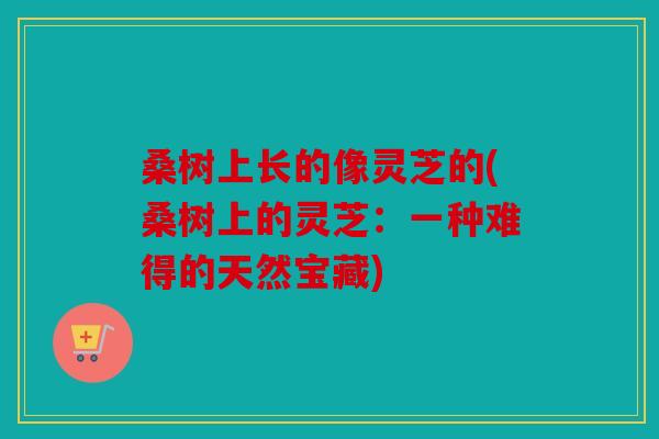 桑树上长的像灵芝的(桑树上的灵芝：一种难得的天然宝藏)