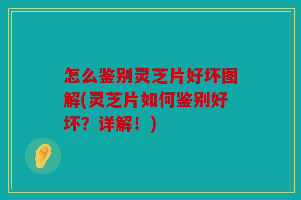 怎么鉴别灵芝片好坏图解(灵芝片如何鉴别好坏？详解！)