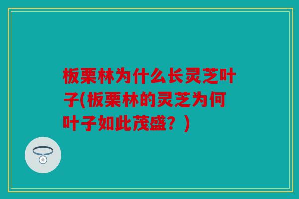 板栗林为什么长灵芝叶子(板栗林的灵芝为何叶子如此茂盛？)