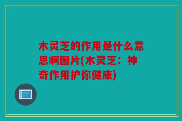 木灵芝的作用是什么意思啊图片(木灵芝：神奇作用护你健康)