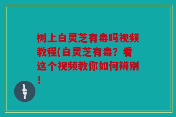 树上白灵芝有毒吗视频教程(白灵芝有毒？看这个视频教你如何辨别！