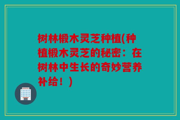树林椴木灵芝种植(种植椴木灵芝的秘密：在树林中生长的奇妙营养补给！)