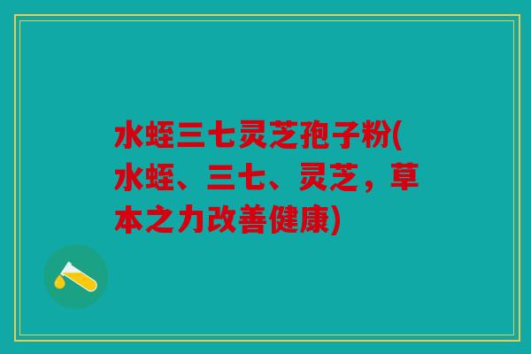 水蛭三七灵芝孢子粉(水蛭、三七、灵芝，草本之力改善健康)