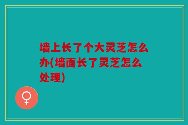墙上长了个大灵芝怎么办(墙面长了灵芝怎么处理)