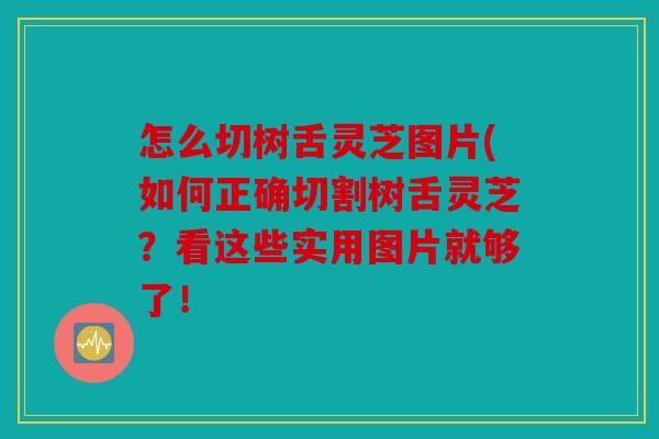 怎么切树舌灵芝图片(如何正确切割树舌灵芝？看这些实用图片就够了！
