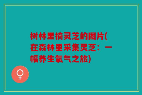 树林里摘灵芝的图片(在森林里采集灵芝：一幅养生氧气之旅)