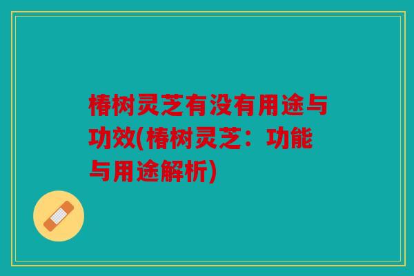 椿树灵芝有没有用途与功效(椿树灵芝：功能与用途解析)