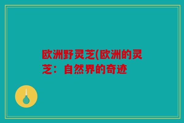 欧洲野灵芝(欧洲的灵芝：自然界的奇迹
