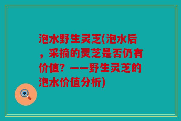 泡水野生灵芝(泡水后，采摘的灵芝是否仍有价值？——野生灵芝的泡水价值分析)
