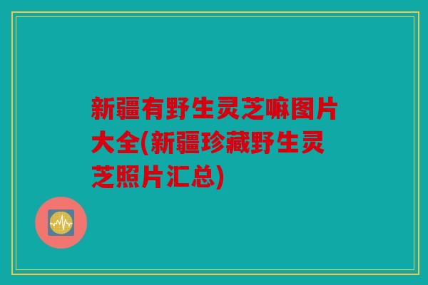 新疆有野生灵芝嘛图片大全(新疆珍藏野生灵芝照片汇总)
