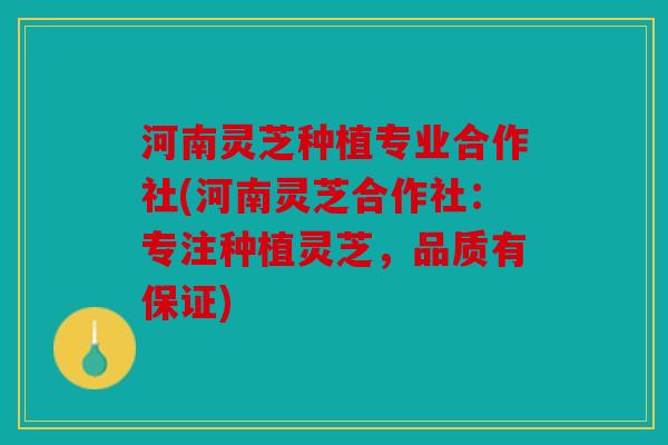 河南灵芝种植专业合作社(河南灵芝合作社：专注种植灵芝，品质有保证)