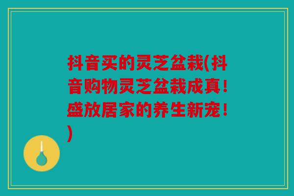抖音买的灵芝盆栽(抖音购物灵芝盆栽成真！盛放居家的养生新宠！)