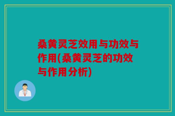 桑黄灵芝效用与功效与作用(桑黄灵芝的功效与作用分析)