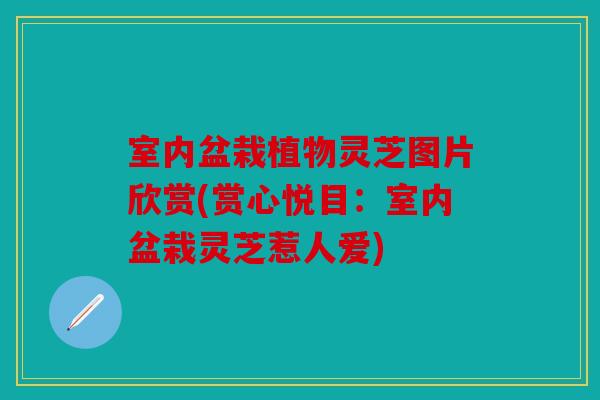 室内盆栽植物灵芝图片欣赏(赏心悦目：室内盆栽灵芝惹人爱)