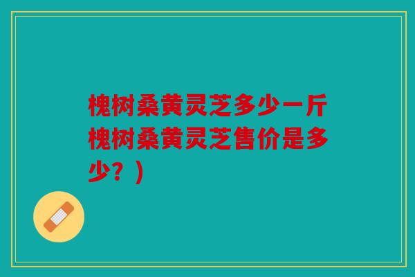 槐树桑黄灵芝多少一斤槐树桑黄灵芝售价是多少？)