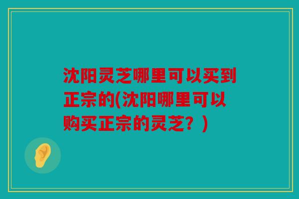 沈阳灵芝哪里可以买到正宗的(沈阳哪里可以购买正宗的灵芝？)