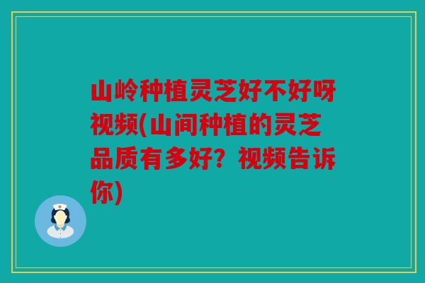 山岭种植灵芝好不好呀视频(山间种植的灵芝品质有多好？视频告诉你)