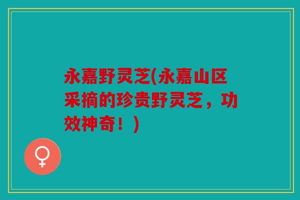 永嘉野灵芝(永嘉山区采摘的珍贵野灵芝，功效神奇！)