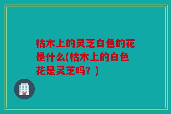 枯木上的灵芝白色的花是什么(枯木上的白色花是灵芝吗？)