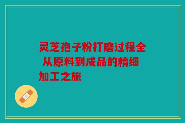 灵芝孢子粉打磨过程全 从原料到成品的精细加工之旅