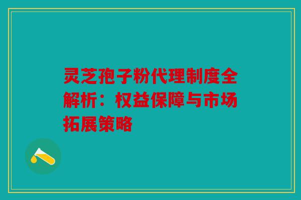 灵芝孢子粉代理制度全解析：权益保障与市场拓展策略