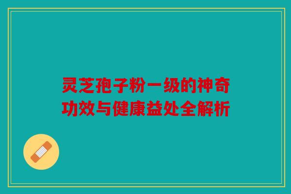 灵芝孢子粉一级的神奇功效与健康益处全解析
