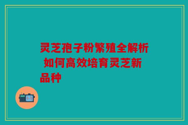 灵芝孢子粉繁殖全解析 如何高效培育灵芝新品种