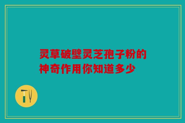 灵草破壁灵芝孢子粉的神奇作用你知道多少