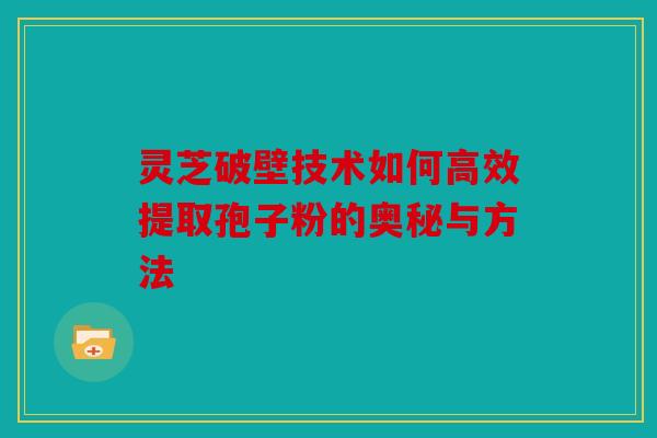 灵芝破壁技术如何高效提取孢子粉的奥秘与方法