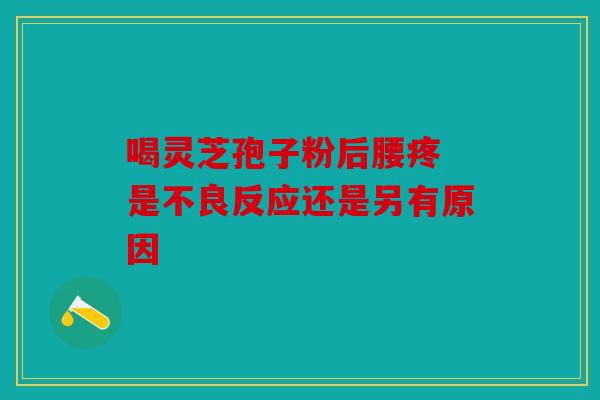 喝灵芝孢子粉后腰疼 是不良反应还是另有原因