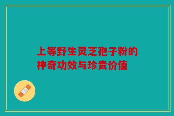 上等野生灵芝孢子粉的神奇功效与珍贵价值