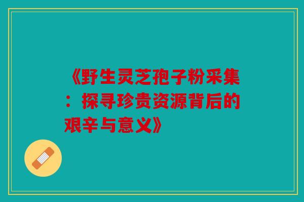 《野生灵芝孢子粉采集：探寻珍贵资源背后的艰辛与意义》