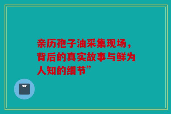亲历孢子油采集现场，背后的真实故事与鲜为人知的细节”