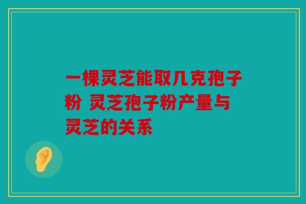 一棵灵芝能取几克孢子粉 灵芝孢子粉产量与灵芝的关系