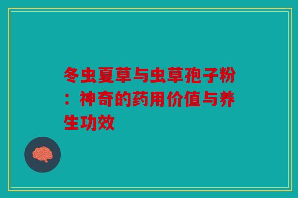 冬虫夏草与虫草孢子粉：神奇的药用价值与养生功效