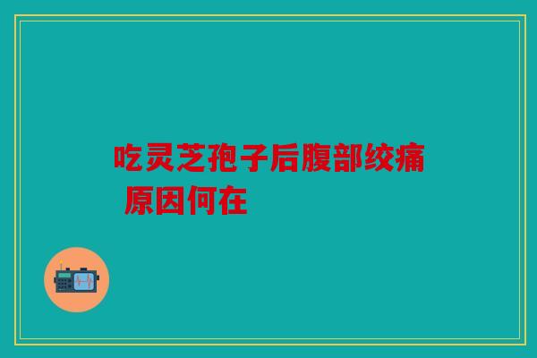 吃灵芝孢子后腹部绞痛 原因何在