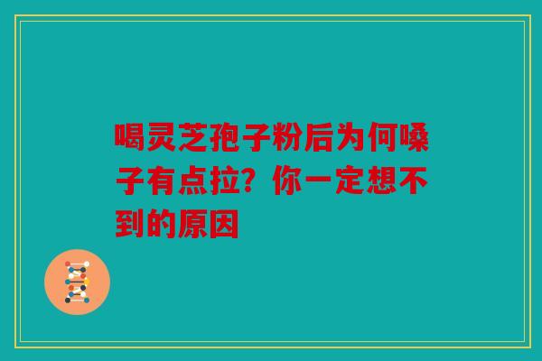 喝灵芝孢子粉后为何嗓子有点拉？你一定想不到的原因