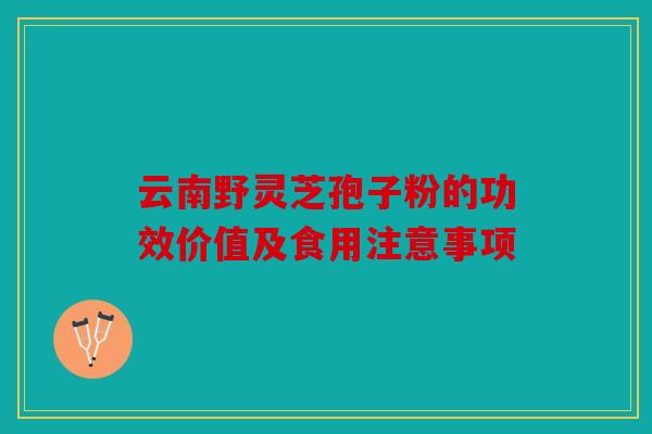 云南野灵芝孢子粉的功效价值及食用注意事项