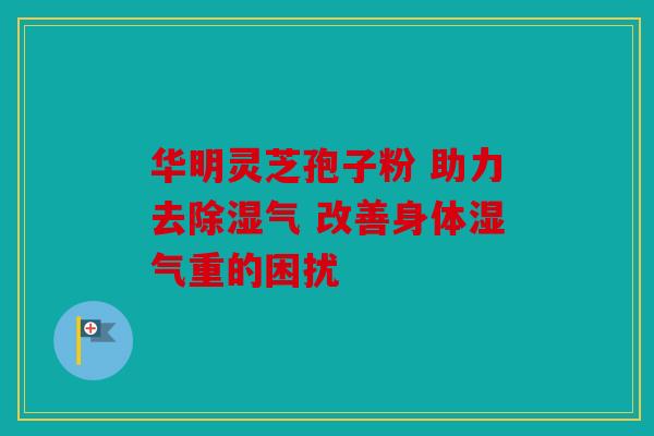 华明灵芝孢子粉 助力去除湿气 改善身体湿气重的困扰