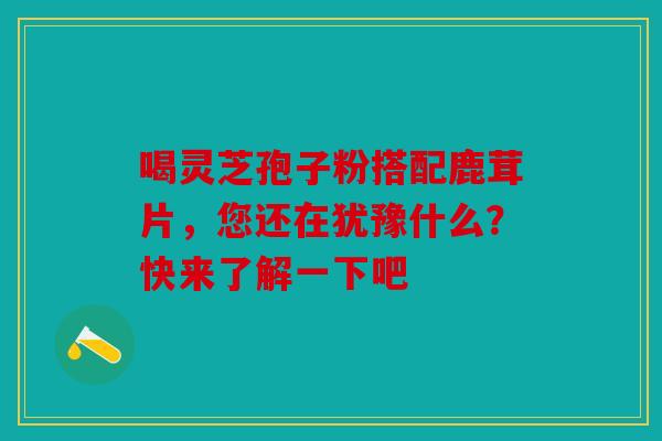 喝灵芝孢子粉搭配鹿茸片，您还在犹豫什么？快来了解一下吧