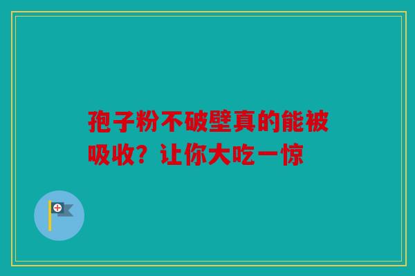 孢子粉不破壁真的能被吸收？让你大吃一惊