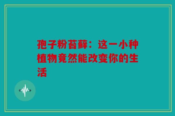 孢子粉苔藓：这一小种植物竟然能改变你的生活