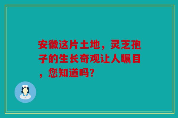 安徽这片土地，灵芝孢子的生长奇观让人瞩目，您知道吗？