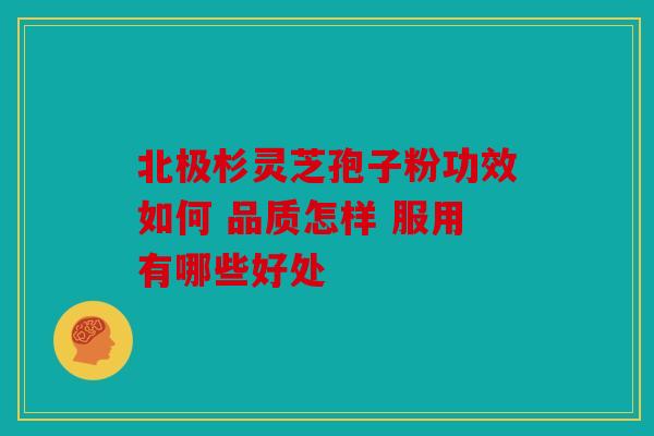 北极杉灵芝孢子粉功效如何 品质怎样 服用有哪些好处
