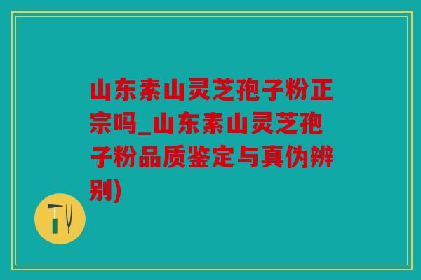 山东素山灵芝孢子粉正宗吗_山东素山灵芝孢子粉品质鉴定与真伪辨别)