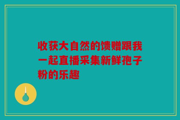 收获大自然的馈赠跟我一起直播采集新鲜孢子粉的乐趣