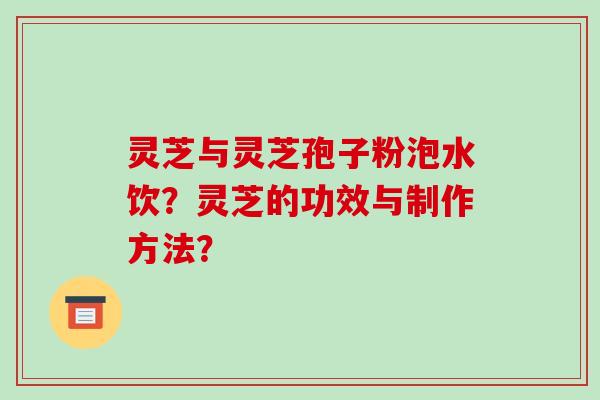 灵芝与灵芝孢子粉泡水饮？灵芝的功效与制作方法？